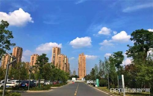 阜阳楼市回暖!城南、颍东疯狂备案,超千套新房炸出!