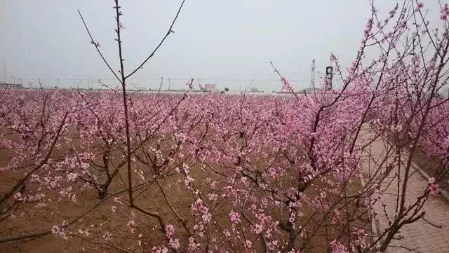 在阜阳，有这样一个地方